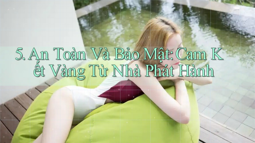 5. An Toàn Và Bảo Mật: Cam Kết Vàng Từ Nhà Phát Hành 5. An Toàn Và Bảo Mật: Cam Kết Vàng Từ Nhà Phát Hành