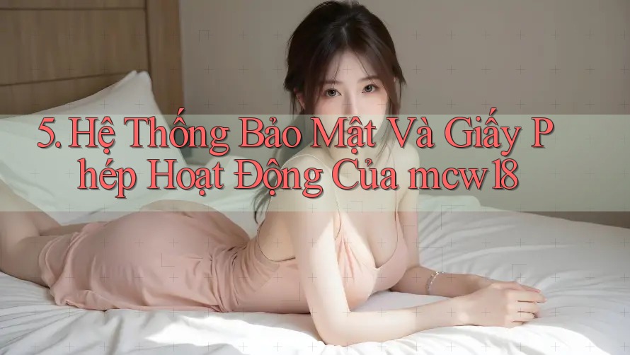 5. Hệ Thống Bảo Mật Và Giấy Phép Hoạt Động Của mcw18