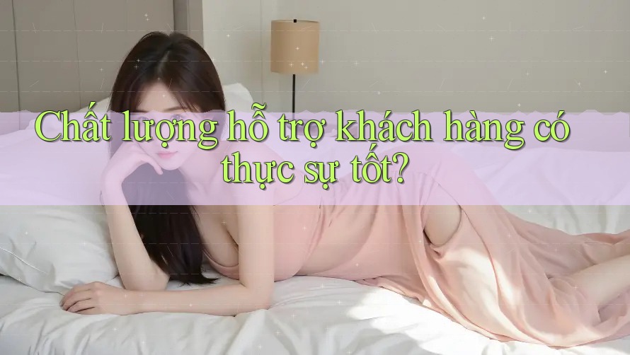 Chất lượng hỗ trợ khách hàng có thực sự tốt? Chất lượng hỗ trợ khách hàng có thực sự tốt?