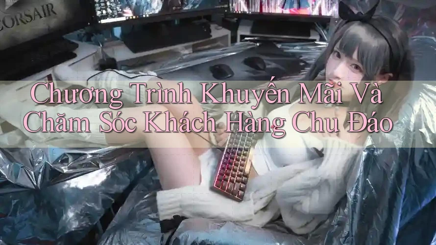 Chương Trình Khuyến Mãi Và Chăm Sóc Khách Hàng Chu Đáo