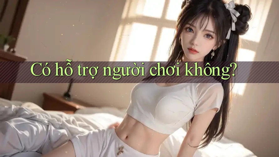 Có hỗ trợ người chơi không?