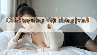 Có hỗ trợ tiếng Việt không vin88