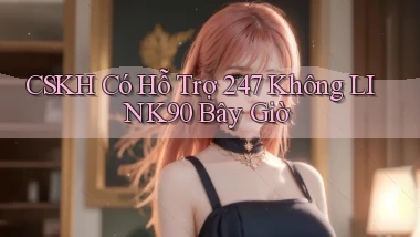 CSKH có hỗ trợ 247 không link90 bây giờ