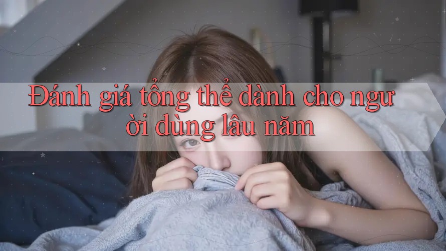 Đánh giá tổng thể dành cho người dùng lâu năm Đánh giá tổng thể dành cho người dùng lâu năm