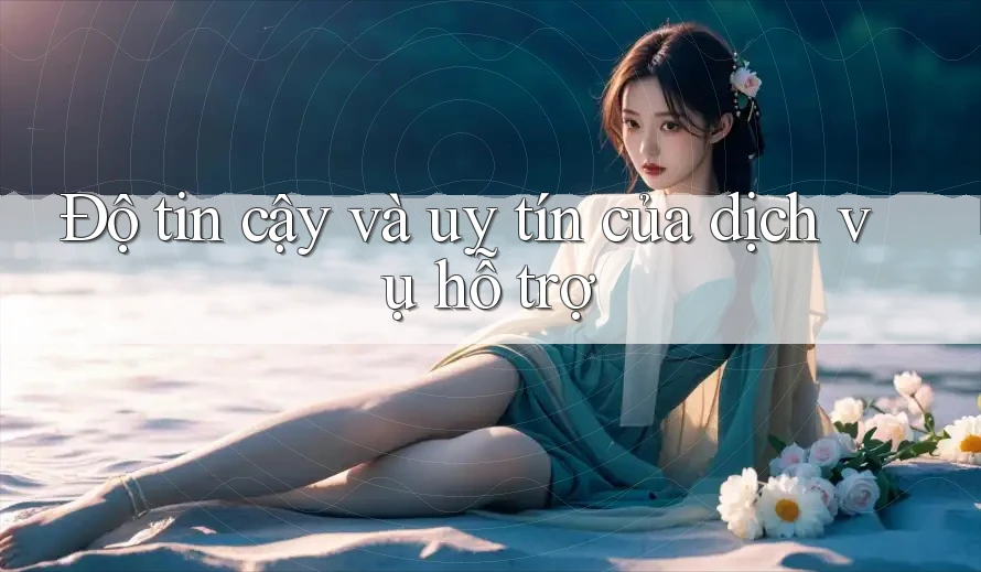 Độ tin cậy và uy tín của dịch vụ hỗ trợ