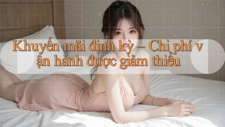 Khuyến mãi định kỳ – Chi phí vận hành được giảm thiểu Khuyến mãi định kỳ – Chi phí vận hành được giảm thiểu