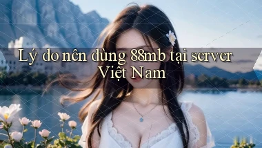 Lý do nên dùng 88mb tại server Việt Nam