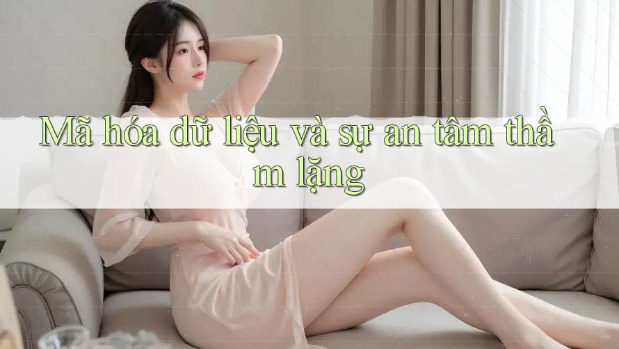 Mã hóa dữ liệu và sự an tâm thầm lặng