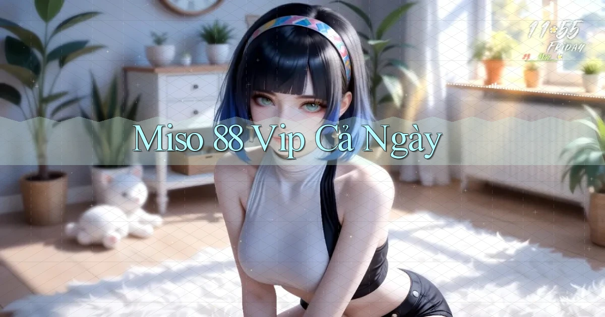 miso 88 vip cả ngày