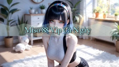 miso 88 vip cả ngày