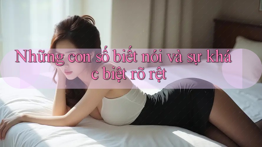 Những con số biết nói và sự khác biệt rõ rệt Những con số biết nói và sự khác biệt rõ rệt