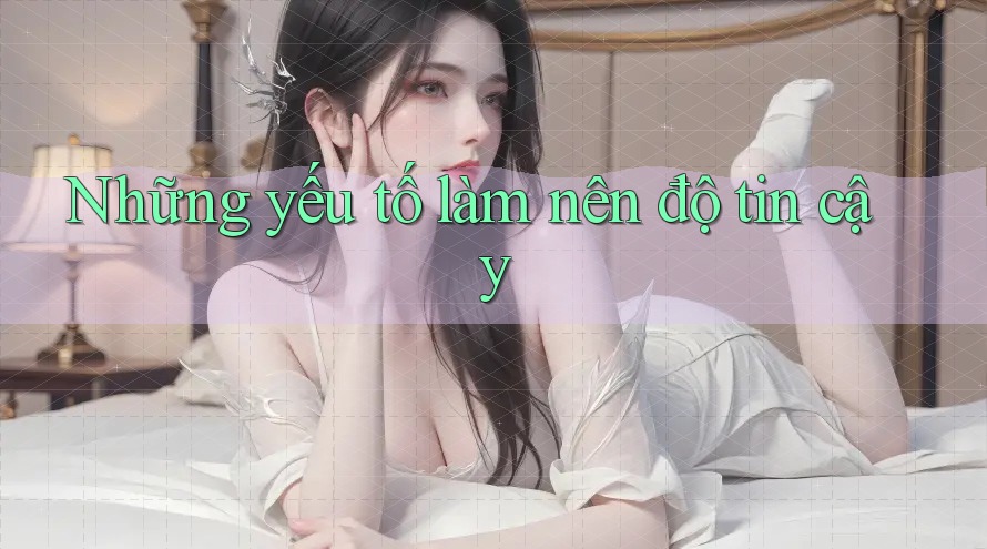 Những yếu tố làm nên độ tin cậy