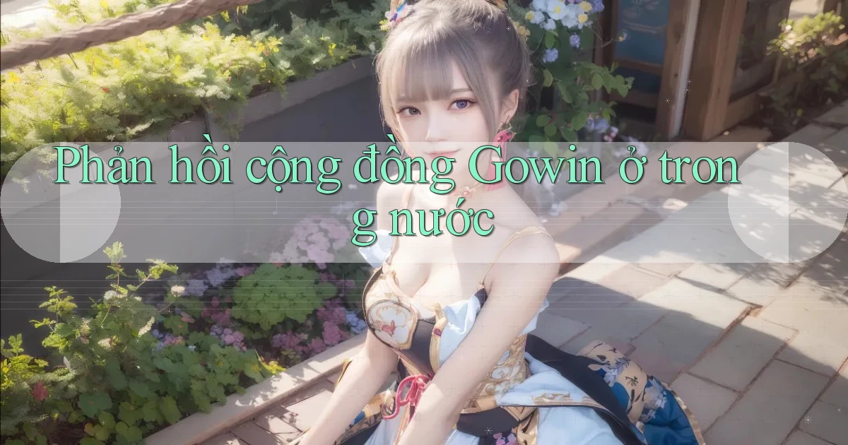 Phản hồi cộng đồng Gowin ở trong nước