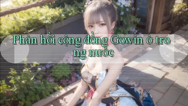 Phản hồi cộng đồng Gowin ở trong nước