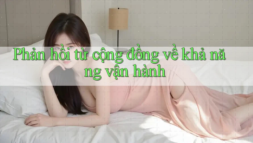 Phản hồi từ cộng đồng về khả năng vận hành