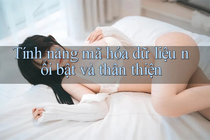 Tính năng mã hóa dữ liệu nổi bật và thân thiện