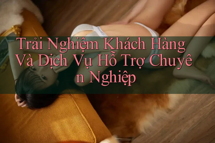 Trải Nghiệm Khách Hàng Và Dịch Vụ Hỗ Trợ Chuyên Nghiệp