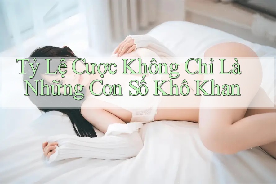 Tỷ Lệ Cược Không Chỉ Là Những Con Số Khô Khan