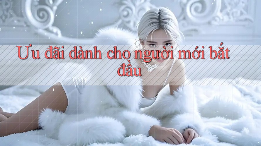 Ưu đãi dành cho người mới bắt đầu Ưu đãi dành cho người mới bắt đầu