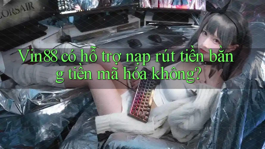 Vin88 có hỗ trợ nạp rút tiền bằng tiền mã hóa không? Vin88 có hỗ trợ nạp rút tiền bằng tiền mã hóa không?